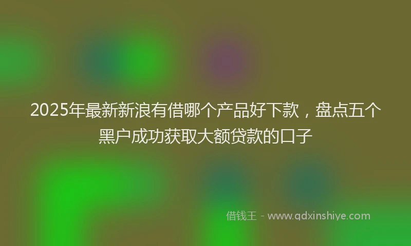 2025年最新新浪有借哪个产品好下款，盘点五个黑户成功获取大额贷款的口子