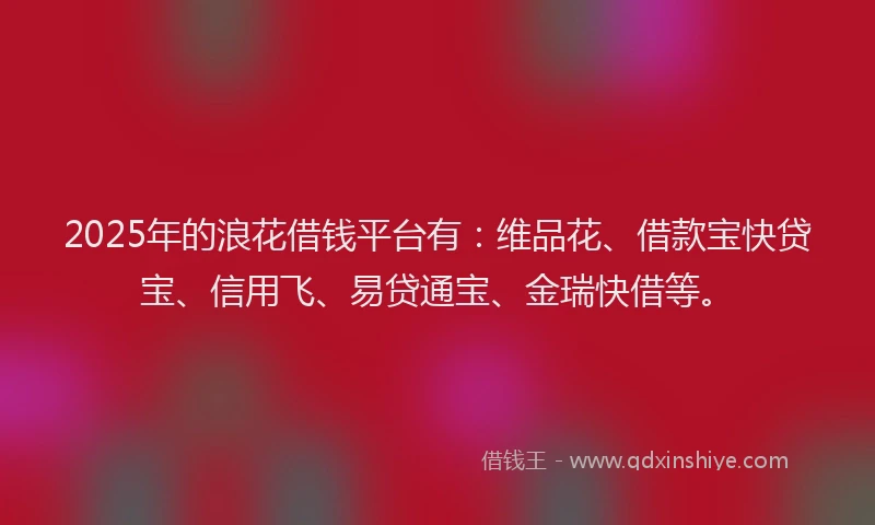 2025年的浪花借钱平台有：维品花、借款宝快贷宝、信用飞、易贷通宝、金瑞快借等。