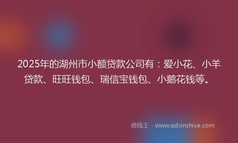 2025年的湖州市小额贷款公司有：爱小花、小羊贷款、旺旺钱包、瑞信宝钱包、小鹅花钱等。