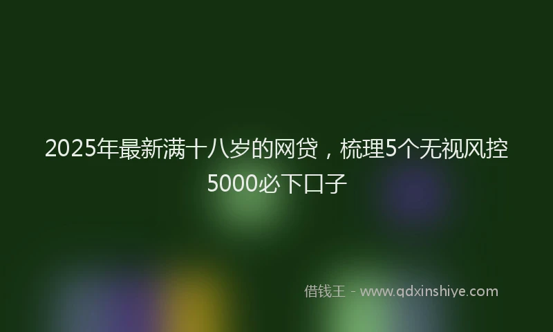 2025年最新满十八岁的网贷，梳理5个无视风控5000必下口子