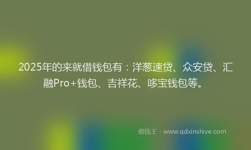 2025年的来就借钱包有：洋葱速贷、众安贷、汇融Pro+钱包、吉祥花、哆宝钱包等。