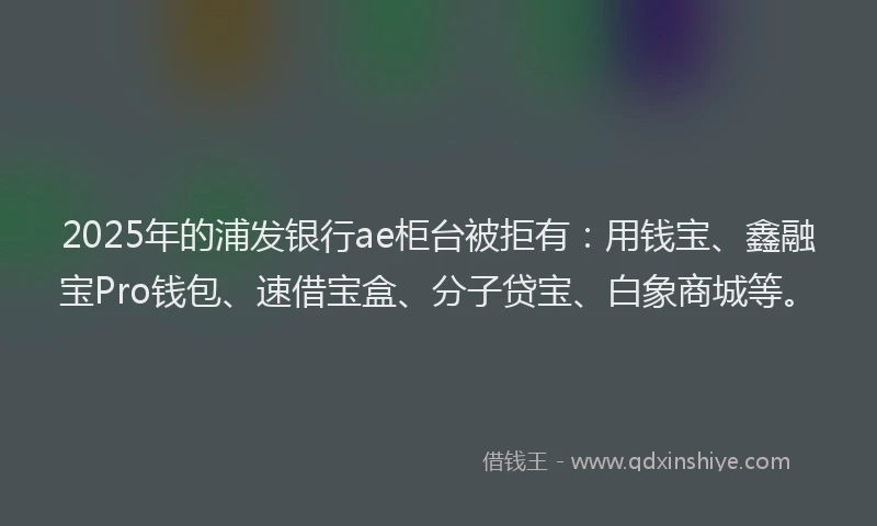 2025年的浦发银行ae柜台被拒有：用钱宝、鑫融宝Pro钱包、速借宝盒、分子贷宝、白象商城等。