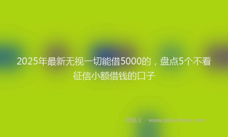 2025年最新无视一切能借5000的，盘点5个不看征信小额借钱的口子
