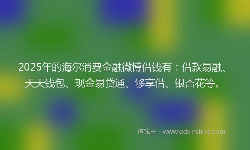 2025年的海尔消费金融微博借钱有：借款易融、天天钱包、现金易贷通、够享借、银杏花等。
