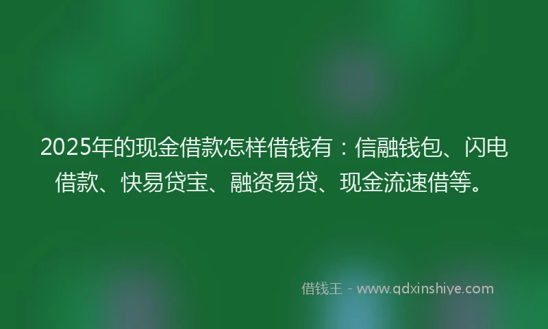 2025年的现金借款怎样借钱有：信融钱包、闪电借款、快易贷宝、融资易贷、现金流速借等。