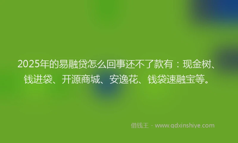 2025年的易融贷怎么回事还不了款有：现金树、钱进袋、开源商城、安逸花、钱袋速融宝等。