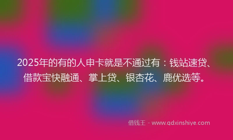 2025年的有的人申卡就是不通过有：钱站速贷、借款宝快融通、掌上贷、银杏花、鹿优选等。