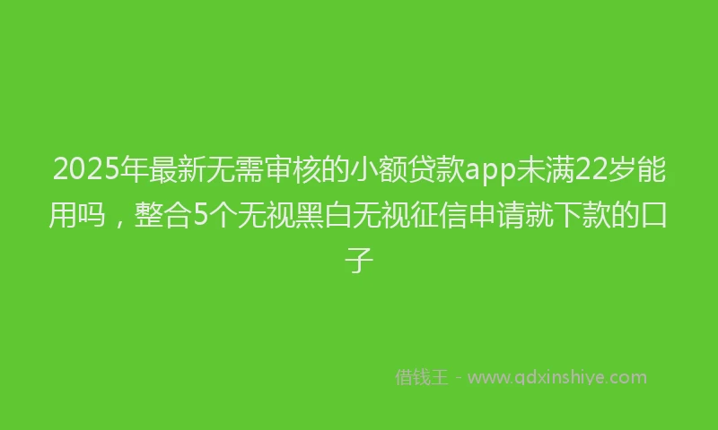 2025年最新无需审核的小额贷款app未满22岁能用吗，整合5个无视黑白无视征信申请就下款的口子