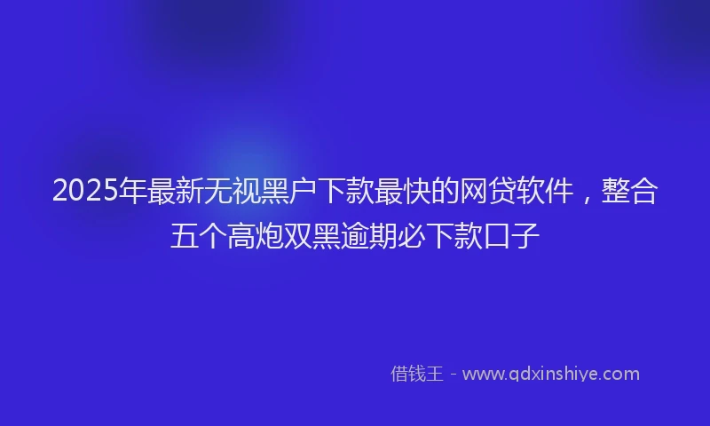 2025年最新无视黑户下款最快的网贷软件，整合五个高炮双黑逾期必下款口子