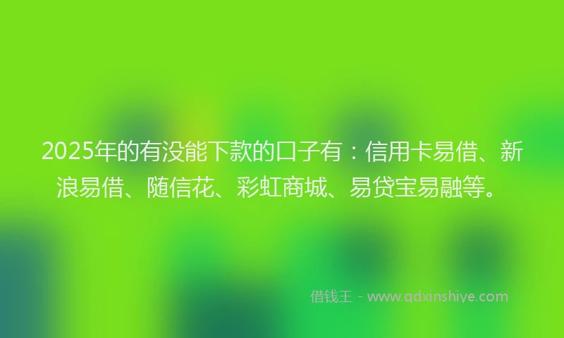 2025年的有没能下款的口子有：信用卡易借、新浪易借、随信花、彩虹商城、易贷宝易融等。