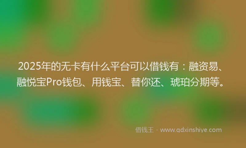 2025年的无卡有什么平台可以借钱有：融资易、融悦宝Pro钱包、用钱宝、替你还、琥珀分期等。