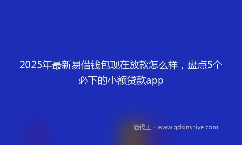 2025年最新易借钱包现在放款怎么样，盘点5个必下的小额贷款app