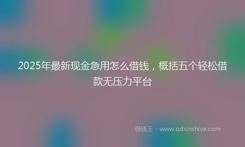 2025年最新现金急用怎么借钱，概括五个轻松借款无压力平台