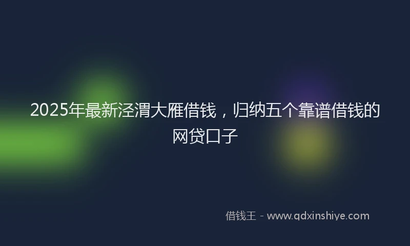 2025年最新泾渭大雁借钱，归纳五个靠谱借钱的网贷口子