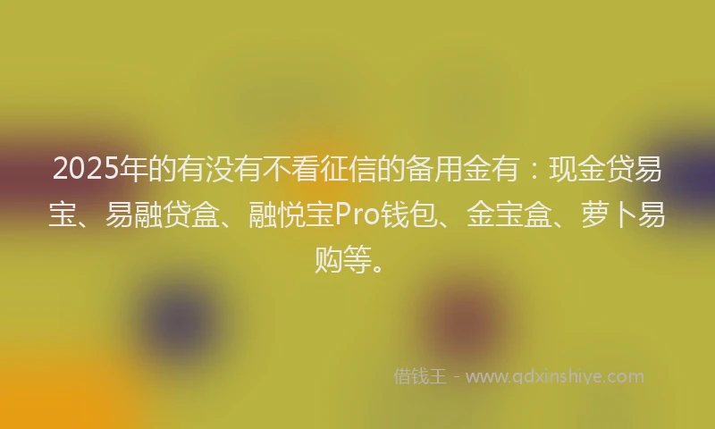 2025年的有没有不看征信的备用金有：现金贷易宝、易融贷盒、融悦宝Pro钱包、金宝盒、萝卜易购等。