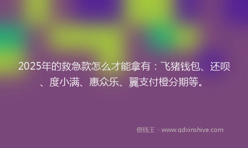 2025年的救急款怎么才能拿有：飞猪钱包、还呗、度小满、惠众乐、翼支付橙分期等。