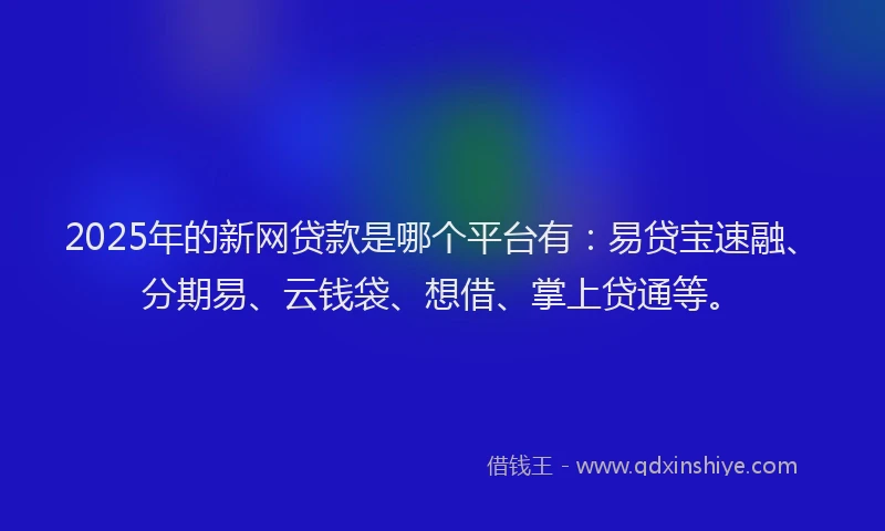 2025年的新网贷款是哪个平台有：易贷宝速融、分期易、云钱袋、想借、掌上贷通等。