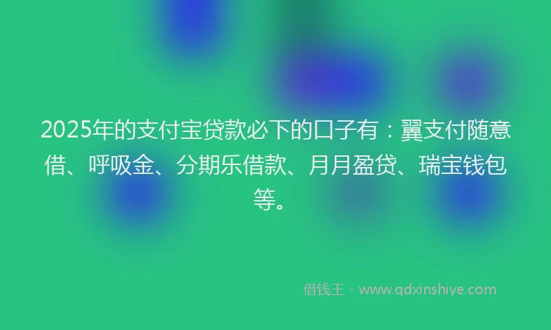 2025年的支付宝贷款必下的口子有：翼支付随意借、呼吸金、分期乐借款、月月盈贷、瑞宝钱包等。