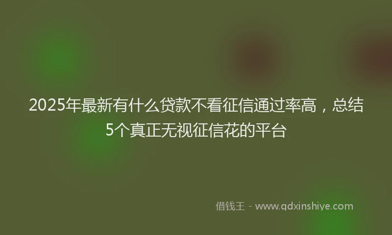 2025年最新有什么贷款不看征信通过率高，总结5个真正无视征信花的平台