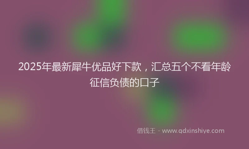 2025年最新犀牛优品好下款，汇总五个不看年龄征信负债的口子
