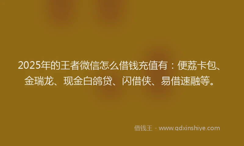 2025年的王者微信怎么借钱充值有：便荔卡包、金瑞龙、现金白鸽贷、闪借侠、易借速融等。