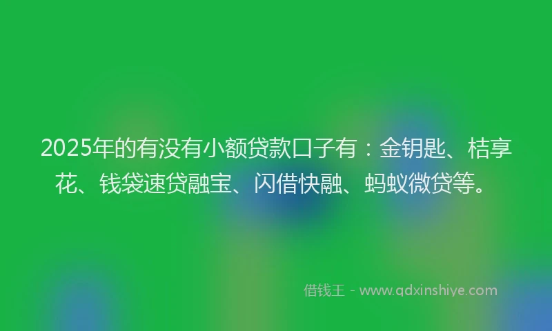 2025年的有没有小额贷款口子有：金钥匙、桔享花、钱袋速贷融宝、闪借快融、蚂蚁微贷等。