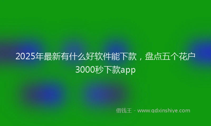2025年最新有什么好软件能下款，盘点五个花户3000秒下款app