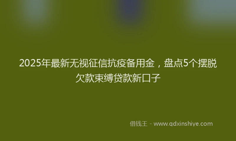 2025年最新无视征信抗疫备用金，盘点5个摆脱欠款束缚贷款新口子