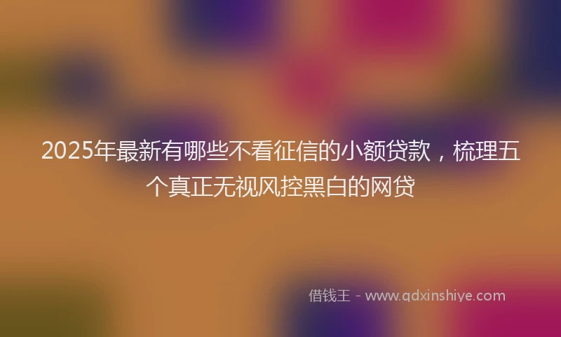 2025年最新有哪些不看征信的小额贷款，梳理五个真正无视风控黑白的网贷