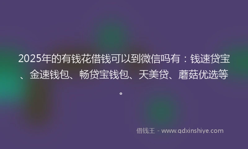 2025年的有钱花借钱可以到微信吗有：钱速贷宝、金速钱包、畅贷宝钱包、天美贷、蘑菇优选等。