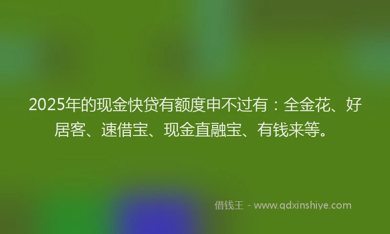 2025年的现金快贷有额度申不过有：全金花、好居客、速借宝、现金直融宝、有钱来等。