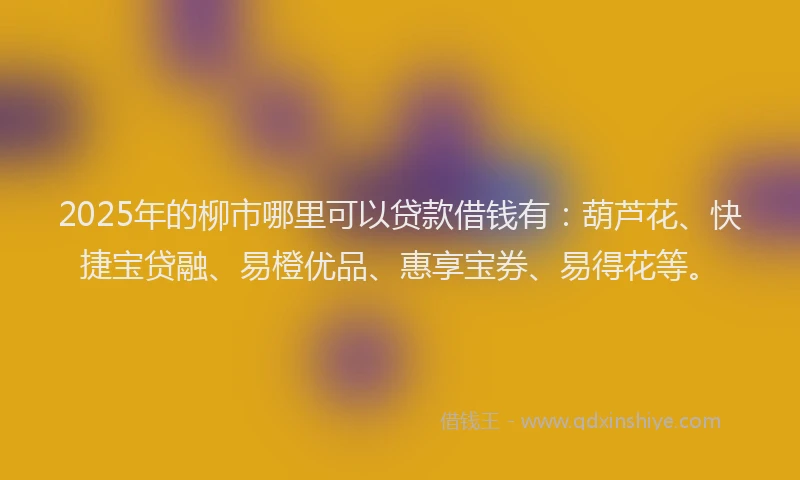 2025年的柳市哪里可以贷款借钱有：葫芦花、快捷宝贷融、易橙优品、惠享宝券、易得花等。