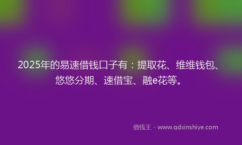 2025年的易速借钱口子有：提取花、维维钱包、悠悠分期、速借宝、融e花等。