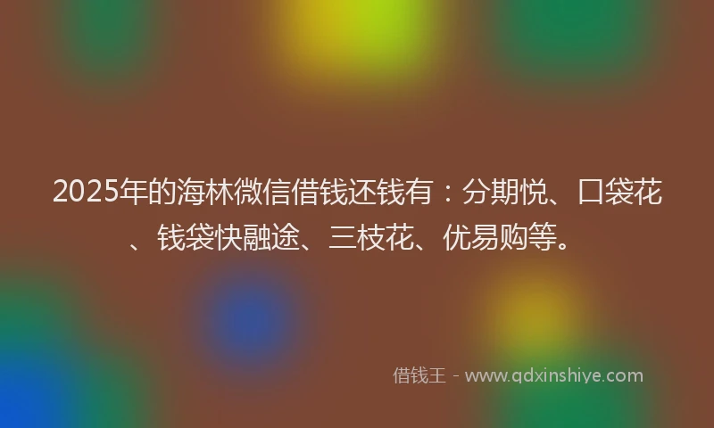 2025年的海林微信借钱还钱有：分期悦、口袋花、钱袋快融途、三枝花、优易购等。