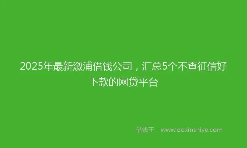 2025年最新溆浦借钱公司，汇总5个不查征信好下款的网贷平台