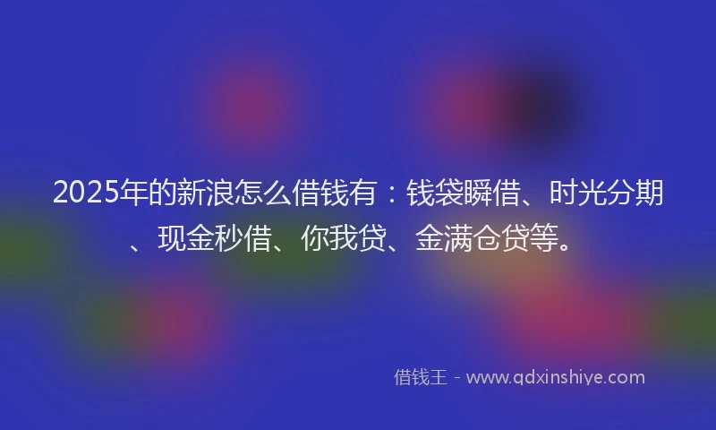 2025年的新浪怎么借钱有：钱袋瞬借、时光分期、现金秒借、你我贷、金满仓贷等。
