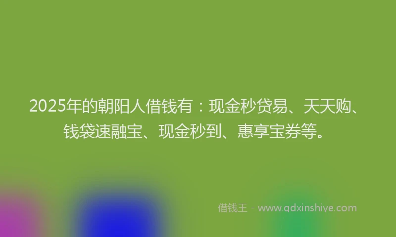 2025年的朝阳人借钱有：现金秒贷易、天天购、钱袋速融宝、现金秒到、惠享宝券等。