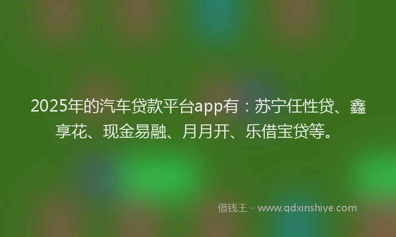 2025年的汽车贷款平台app有：苏宁任性贷、鑫享花、现金易融、月月开、乐借宝贷等。