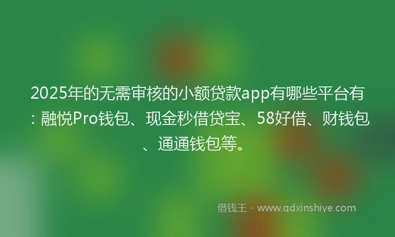 2025年的无需审核的小额贷款app有哪些平台有：融悦Pro钱包、现金秒借贷宝、58好借、财钱包、通通钱包等。