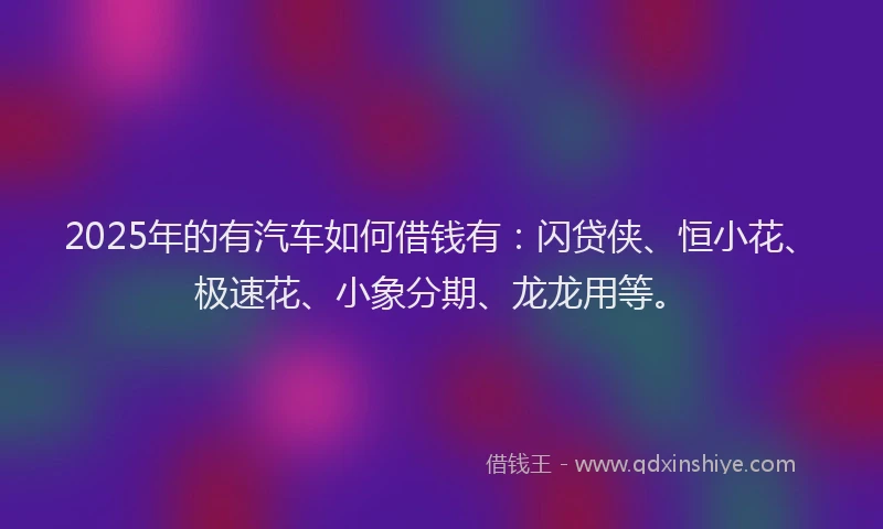 2025年的有汽车如何借钱有：闪贷侠、恒小花、极速花、小象分期、龙龙用等。