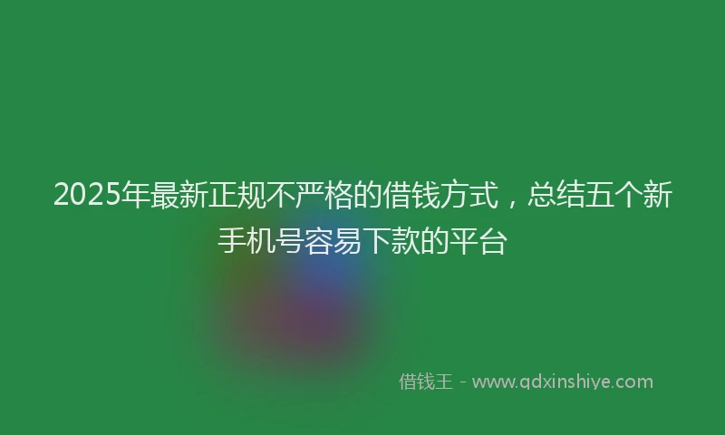 2025年最新正规不严格的借钱方式，总结五个新手机号容易下款的平台