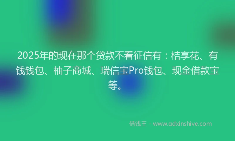 2025年的现在那个贷款不看征信有：桔享花、有钱钱包、柚子商城、瑞信宝Pro钱包、现金借款宝等。