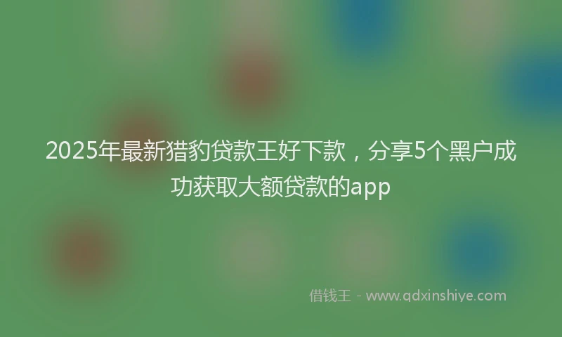 2025年最新猎豹贷款王好下款，分享5个黑户成功获取大额贷款的app