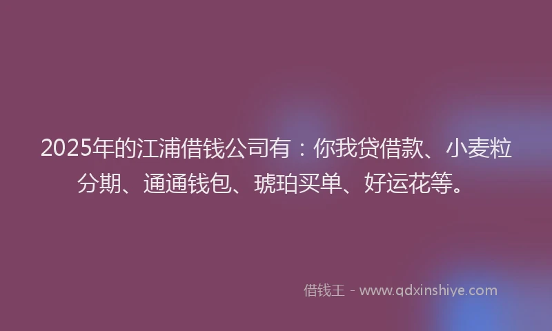 2025年的江浦借钱公司有：你我贷借款、小麦粒分期、通通钱包、琥珀买单、好运花等。