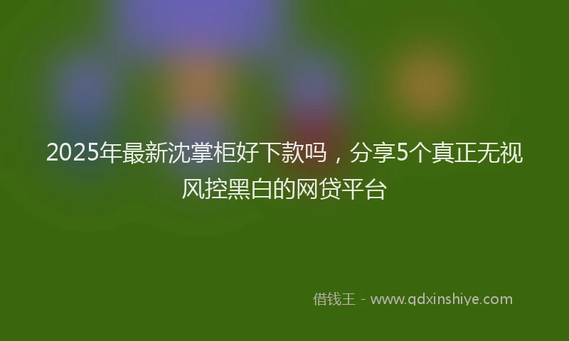 2025年最新沈掌柜好下款吗，分享5个真正无视风控黑白的网贷平台