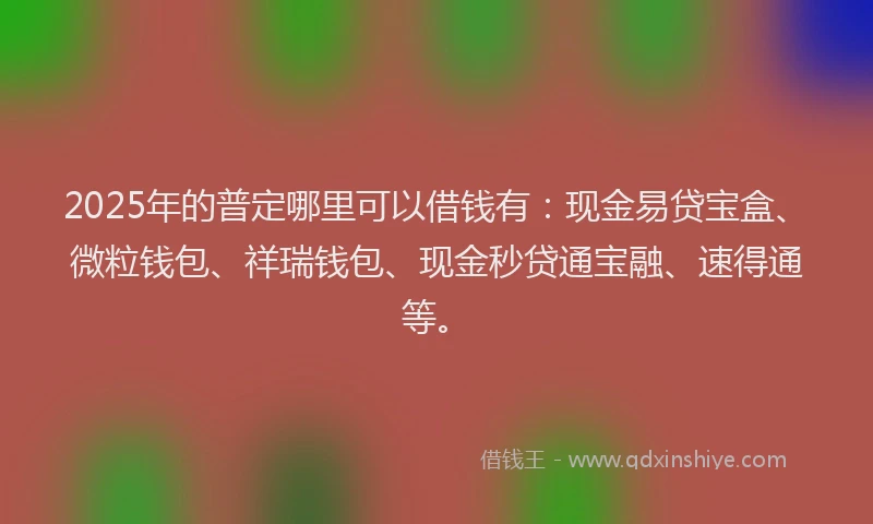 2025年的普定哪里可以借钱有：现金易贷宝盒、微粒钱包、祥瑞钱包、现金秒贷通宝融、速得通等。