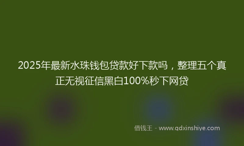 2025年最新水珠钱包贷款好下款吗，整理五个真正无视征信黑白100%秒下网贷