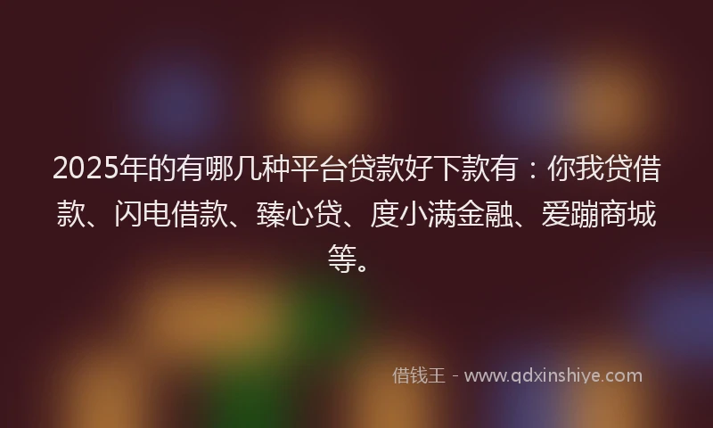 2025年的有哪几种平台贷款好下款有：你我贷借款、闪电借款、臻心贷、度小满金融、爱蹦商城等。