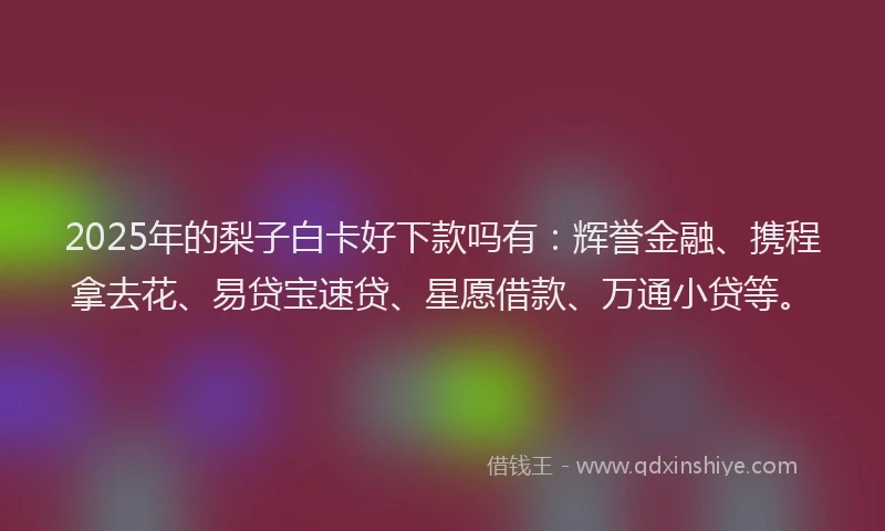 2025年的梨子白卡好下款吗有：辉誉金融、携程拿去花、易贷宝速贷、星愿借款、万通小贷等。