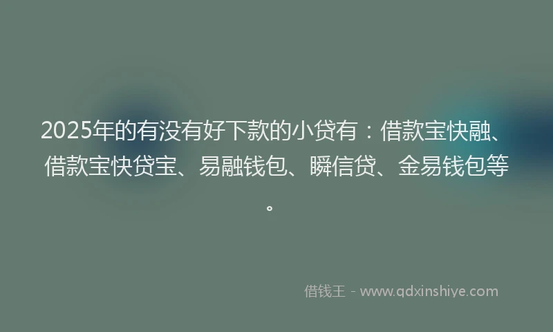 2025年的有没有好下款的小贷有：借款宝快融、借款宝快贷宝、易融钱包、瞬信贷、金易钱包等。